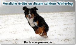 zeiten-jahreszeit-winter_006