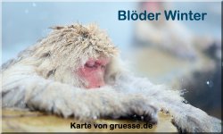 zeiten-jahreszeit-winter_024