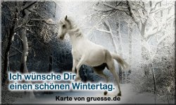 zeiten-jahreszeit-winter_025