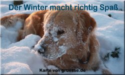zeiten-jahreszeit-winter_030