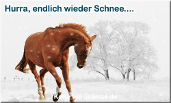 zeiten-jahreszeit-winter_033