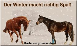 zeiten-jahreszeit-winter_034