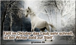 grusskarte-zeiten-jahreszeit-winter-zitate-b_002