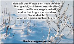 zeiten-jahreszeit-winter-zitate_001