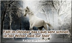 zeiten-jahreszeit-winter-zitate_006