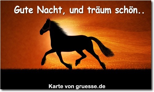 zeiten-gute-nacht_082