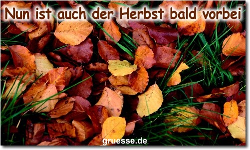 grusskarte-zeiten-jahreszeit-herbst-b_014