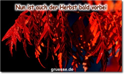 grusskarte-zeiten-jahreszeit-herbst-b_015
