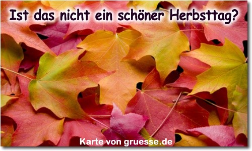 zeiten-jahreszeit-herbst_004