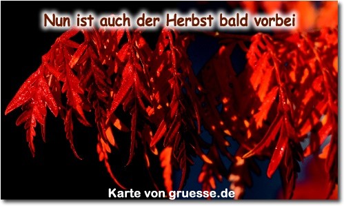 zeiten-jahreszeit-herbst_015