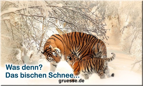 grusskarte-zeiten-jahreszeit-winter-b_029