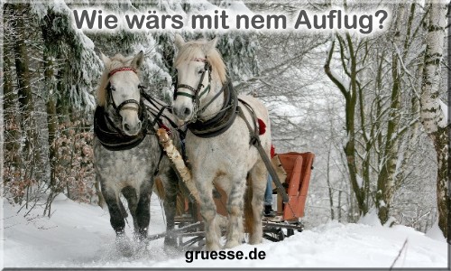 grusskarte-zeiten-jahreszeit-winter-b_044